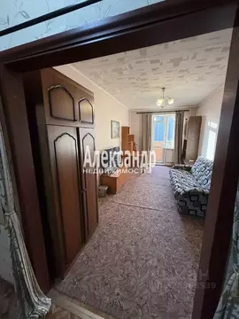 1-к кв. Санкт-Петербург ул. Ушинского, 33к3 (41.4 м)