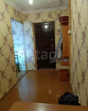 Комната Пермский край, Пермский муниципальный округ, с. Бершеть ул. ...