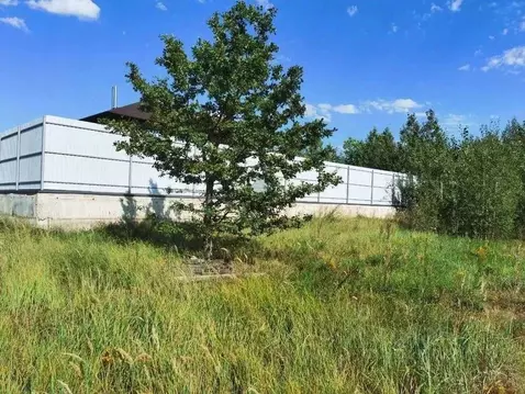 Участок в Воронежская область, Рамонский район, Яменское с/пос, д. ...