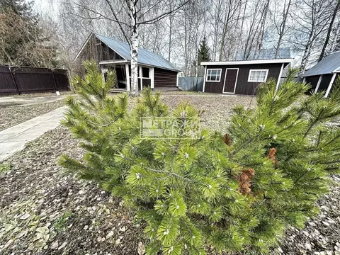 Дом в Московская область, Щелково городской округ, СНТ Купавинка тер. ...