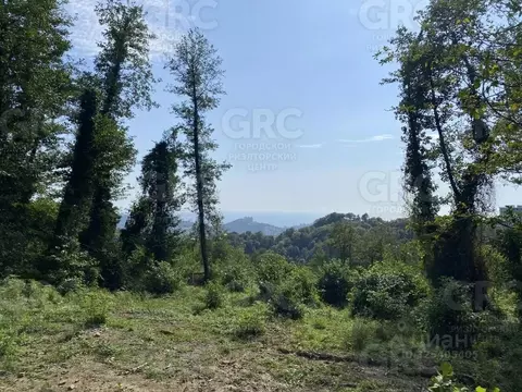 Участок в Краснодарский край, Сочи городской округ, с. Богушевка ул. ...