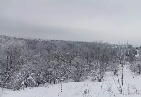 Участок в Московская область, Дмитровский муниципальный округ, с. ...