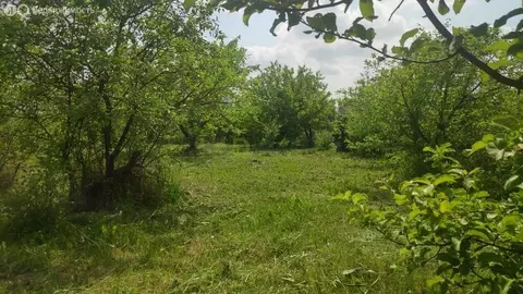 Участок в Иглинский район, Акбердинский сельсовет, СНТ Карамалы (12 м)