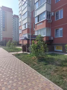 Помещение свободного назначения в Краснодарский край, Краснодар ул. ...