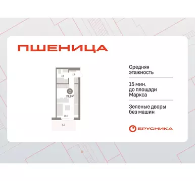 Квартира-студия: Новосибирский район, рабочий посёлок Краснообск, 3-й ...