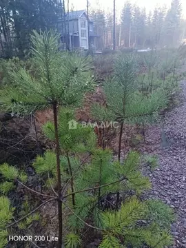 Участок в Ленинградская область, Выборгский район, Рощино пгт проезд ...