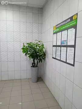 1-комнатная квартира: Красноярск, Норильская улица, 34 (43 м)