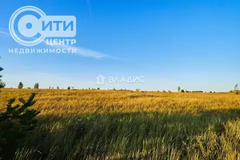 Участок в Воронежская область, Воронеж ул. Генерала Раевского (8.0 ...