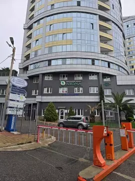 Помещение свободного назначения в Краснодарский край, Сочи ул. Ленина, ...