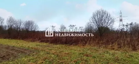 Участок в Ленинградская область, Ломоносовский район, Кипенское с/пос ...