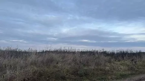 Участок в Московская область, Ступино городской округ, д. Зевалово  ...