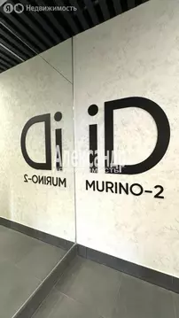 Квартира-студия: Мурино, Романовская улица, 2 (20.8 м)