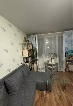 Студия Ленинградская область, Всеволожск ул. Взлетная, 12к4 (25.7 м)