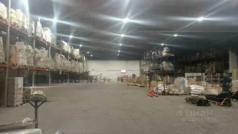 Помещение свободного назначения в Санкт-Петербург Домостроительная ...