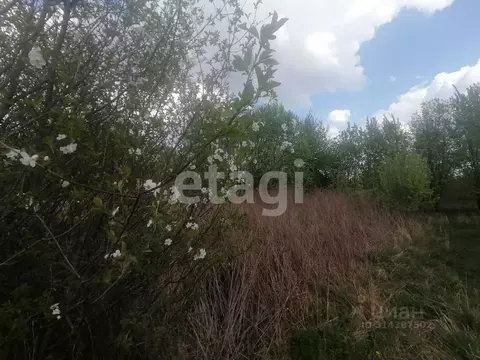 Участок в Брянская область, Брянский район, Добрунское с/пос, д. ...