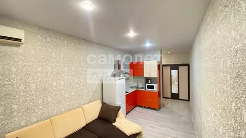 Студия Краснодарский край, Краснодар ул. Командорская, 3к2 (26.0 м)