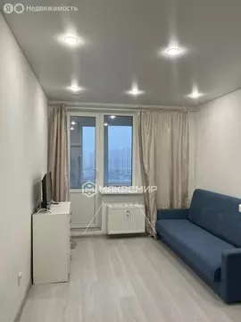 Квартира-студия: Мурино, проспект Авиаторов Балтики, 25 (20 м)