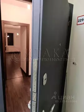 Студия Санкт-Петербург просп. Буденного, 23к3 (20.0 м)