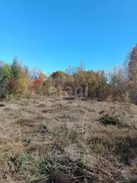 Участок в Амурская область, Благовещенский район, Медовая тер.  (12.9 ...