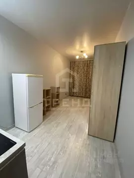 Студия Ленинградская область, Мурино Всеволожский район, бул. ...