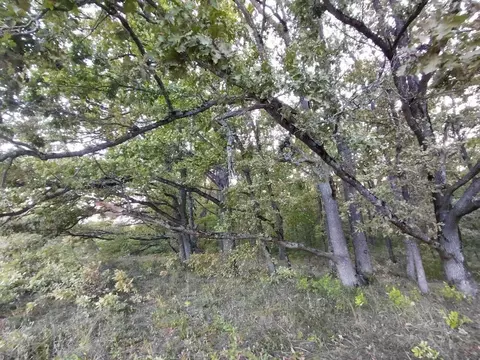 Участок в Краснодарский край, Северский район, Григорьевское с/пос, ...