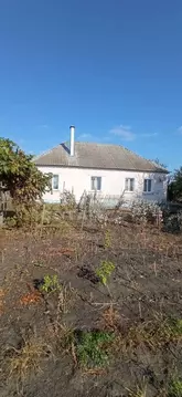 Дом в Липецкая область, Хлевенский муниципальный округ, с. Синдякино ...