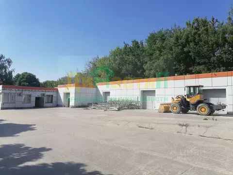 Торговая площадь в Белгородская область, Белгород Сумская ул., 66А ...