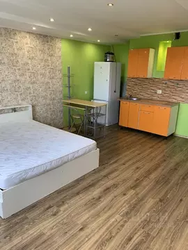 Студия Новосибирская область, Новосибирск ул. Татьяны Снежиной, 39 ...