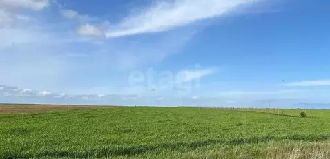 Участок в Крым, Ленинский район, с. Батальное ул. Степная (784.84 ...