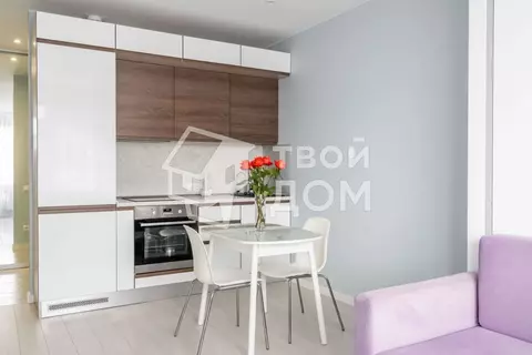 Студия Санкт-Петербург просп. Стачек, 216к2 (23.4 м)