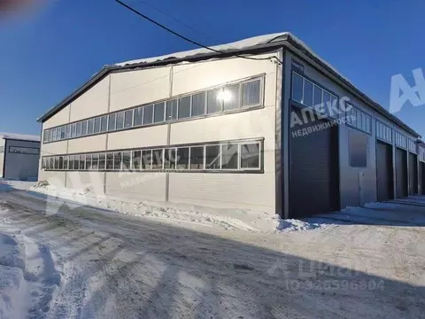 Производственное помещение в Московская область, Домодедово Барыбино ...