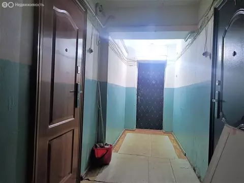 3-комнатная квартира: Челябинск, Новороссийская улица, 53 (60 м)