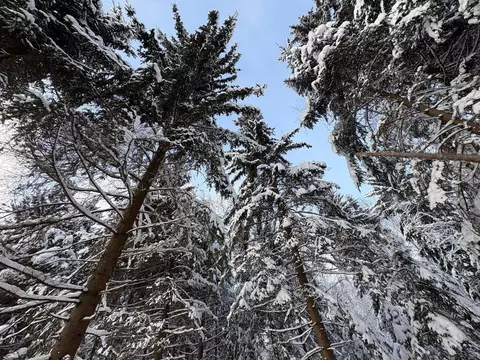 Участок в Московская область, Волоколамский муниципальный округ, ...