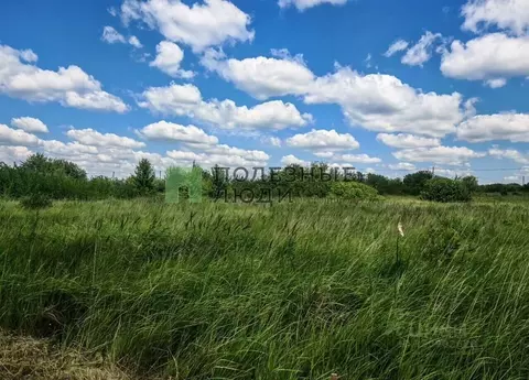 Участок в Белгородская область, Корочанский район, Мелиховское с/пос, ...