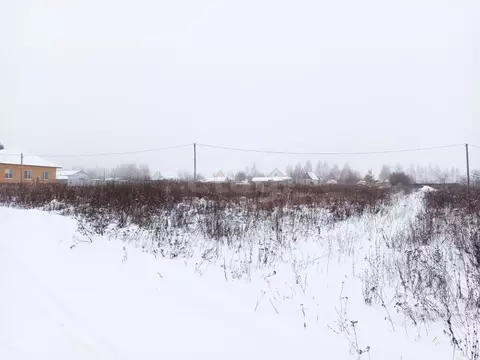 Участок в Мордовия, Кочкуровский муниципальный округ, с. Булгаково ул. ...