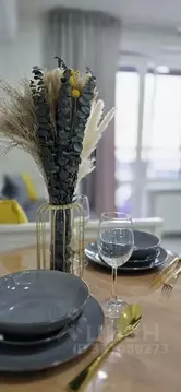 Студия Татарстан, Казань ул. Николая Ершова, 65Б/1 (35.0 м)