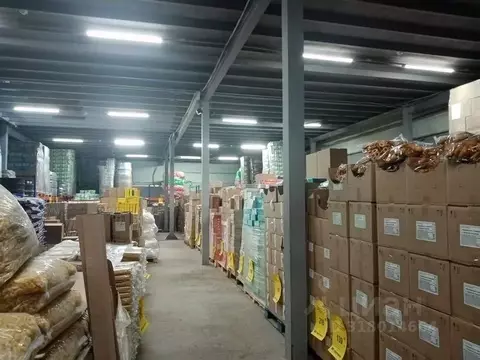 Склад в Нижегородская область, Нижний Новгород ул. Марата, 51 (1100 м)