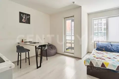 Студия Санкт-Петербург просп. Буденного, 19к2 (24.2 м)