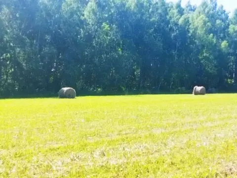 Участок в Тульская область, Ясногорский район, Иваньковское с/пос, ...