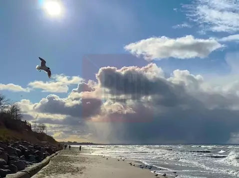 Дом в Калининградская область, Зеленоградск пос. Малиновка,  (122 м)