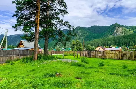 Участок в Алтай, Чемальский район, с. Чепош  (16.0 сот.)