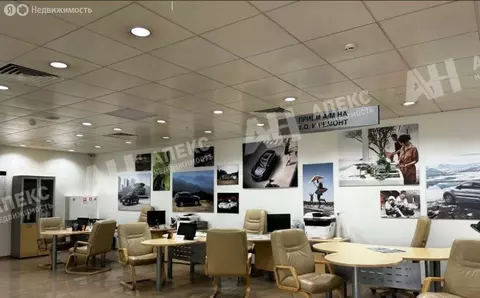 Помещение свободного назначения (4068 м)