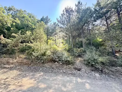 Участок в Крым, Ялта ул. Дарсановская (6.0 сот.)