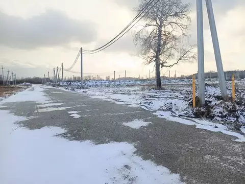 Участок в Новосибирская область, Новосибирский район, Кудряшовский ...