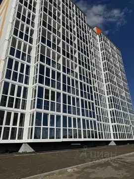 Студия Мордовия, Саранск ул. Косарева, 113 (22.4 м)