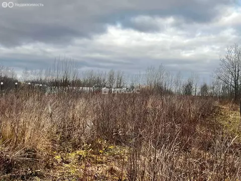 Участок в Суздальский район, муниципальное образование Павловское, ...