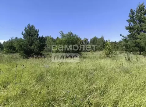 Участок в Воронежская область, Рамонский район, Новоживотинновское ...