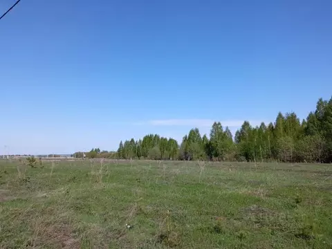 Участок в Татарстан, Лаишевский район, Кирбинское с/пос, д. Травкино  ...