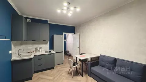 Студия Санкт-Петербург ул. Русановская, 24 (25.0 м)