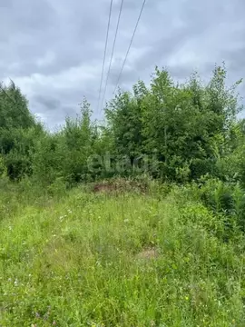 Участок в Коми, Корткеросский район, Посад СДТ  (10.0 сот.)